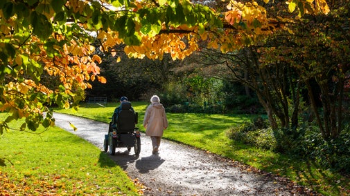 Couple with a tramper on an autumnal walk